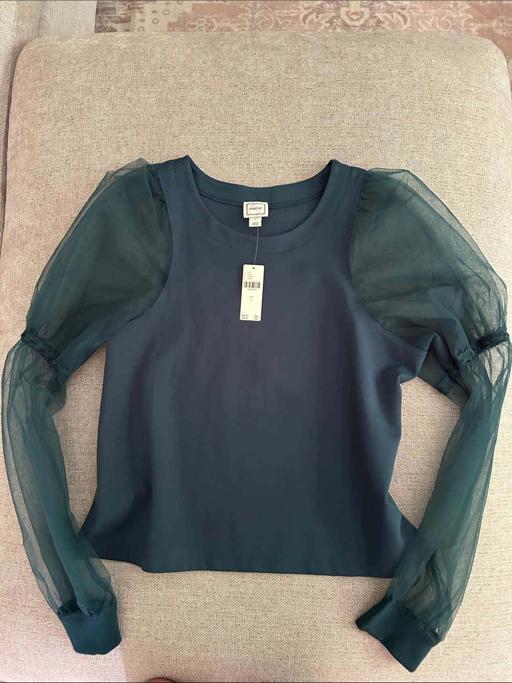 Anthropologie Teal Long-Sleeve Mesh Puff Top